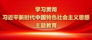 啊啊啊使劲插我骚逼学习贯彻习近平新时代中国特色社会主义思想主题教育_fororder_ad-371X160(2)